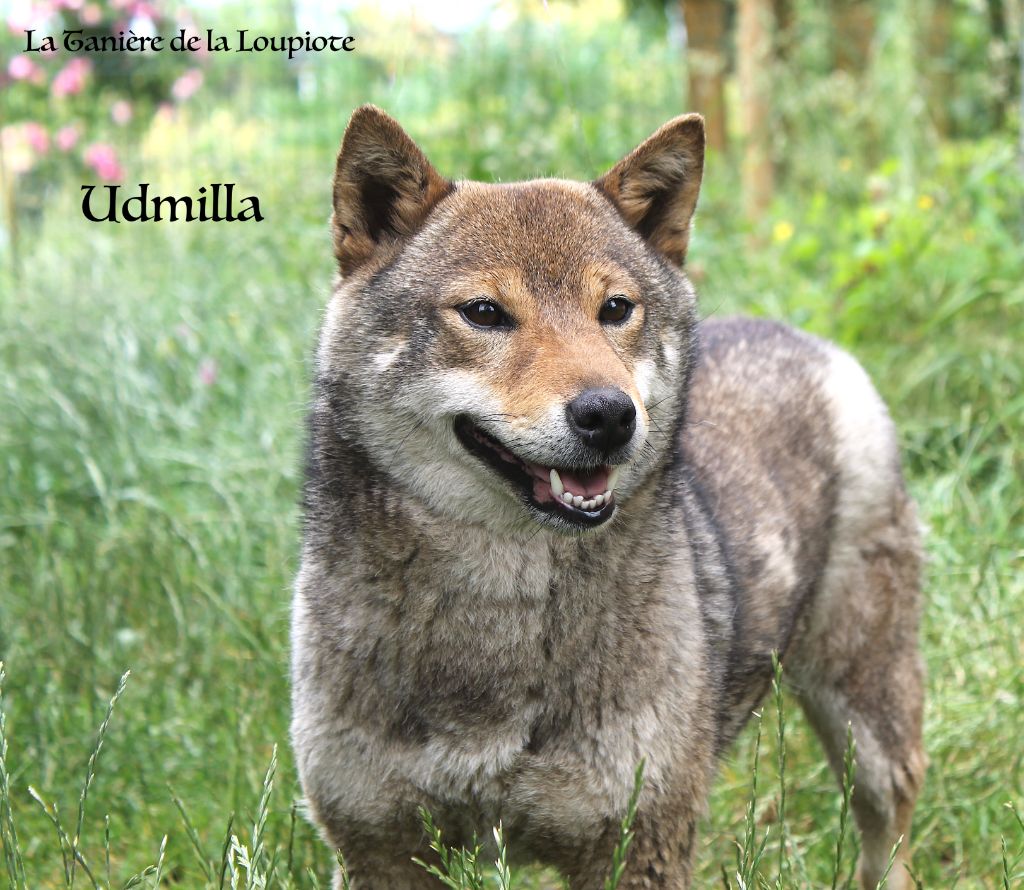 Udmilla Du Domaine Du Varandin
