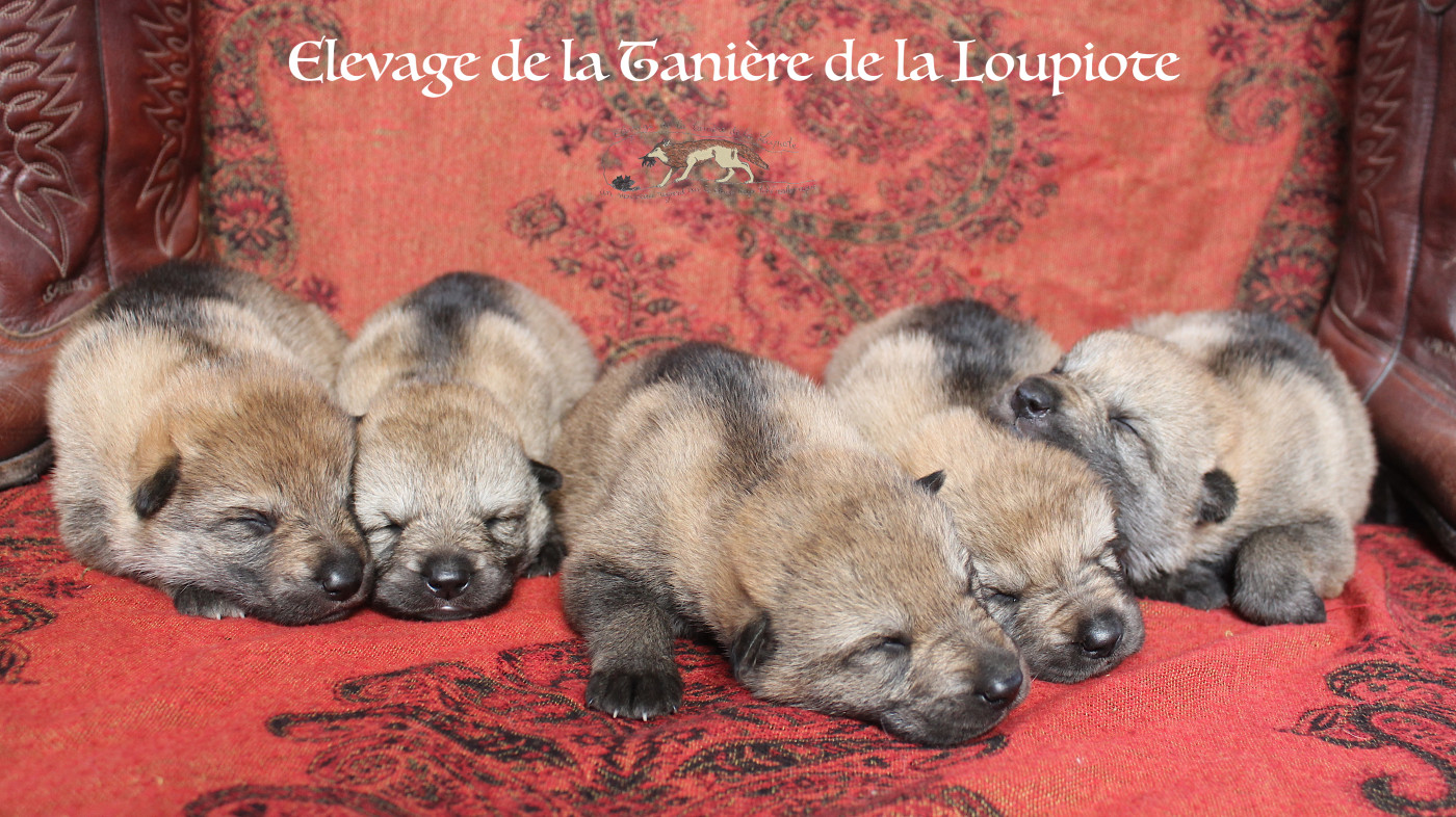 RÉSERVATION OUVERTURE pour les Babys à naître vers Noël